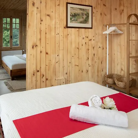 Quinette By Interhome Ovronnaz