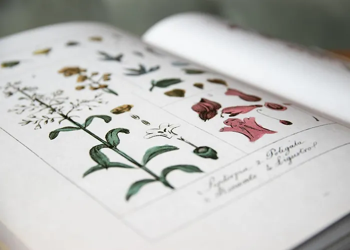 Шале Quinette By Interhome Овронна